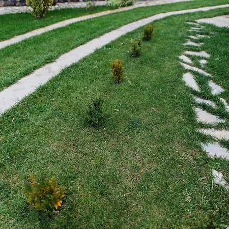 Pensiunea Magnesia Farm stay