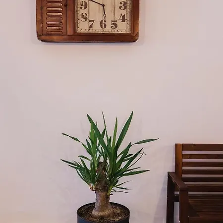 Pensiunea Magnesia Farm stay